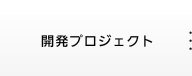 開発プロジェクト